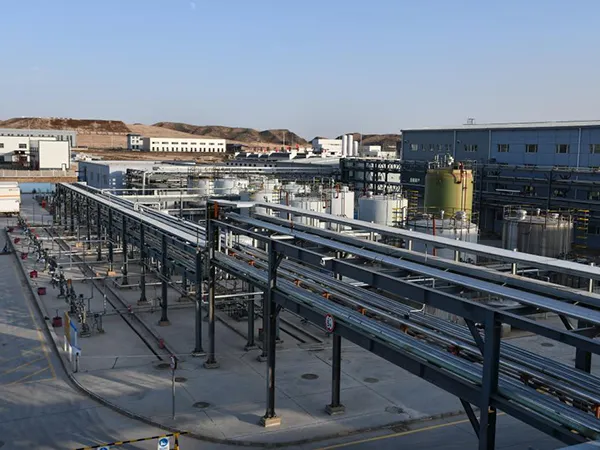 "Little Giant" recognition